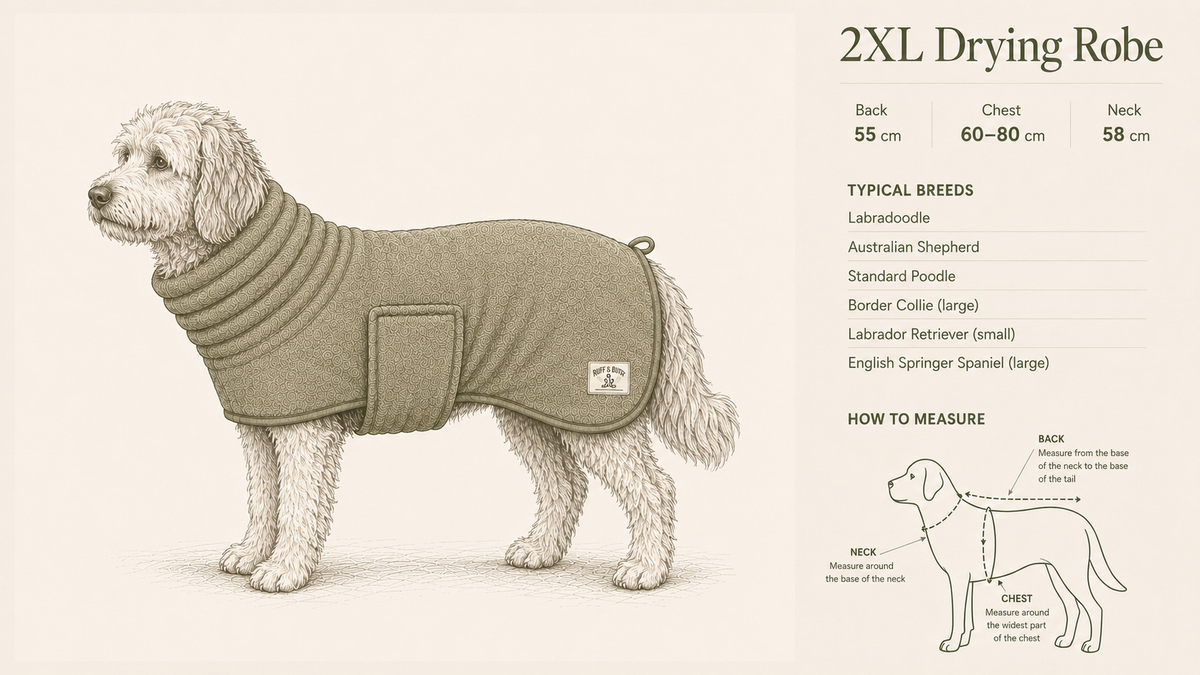 2XL size guide