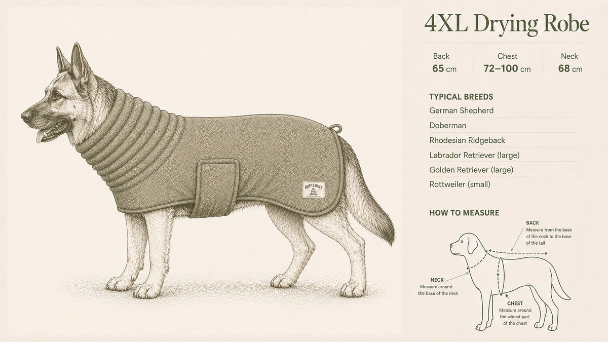 4XL size guide