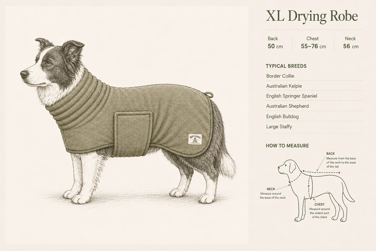 XL size guide